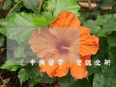 申请留学 贷款逾期 申请留学 贷款逾期
